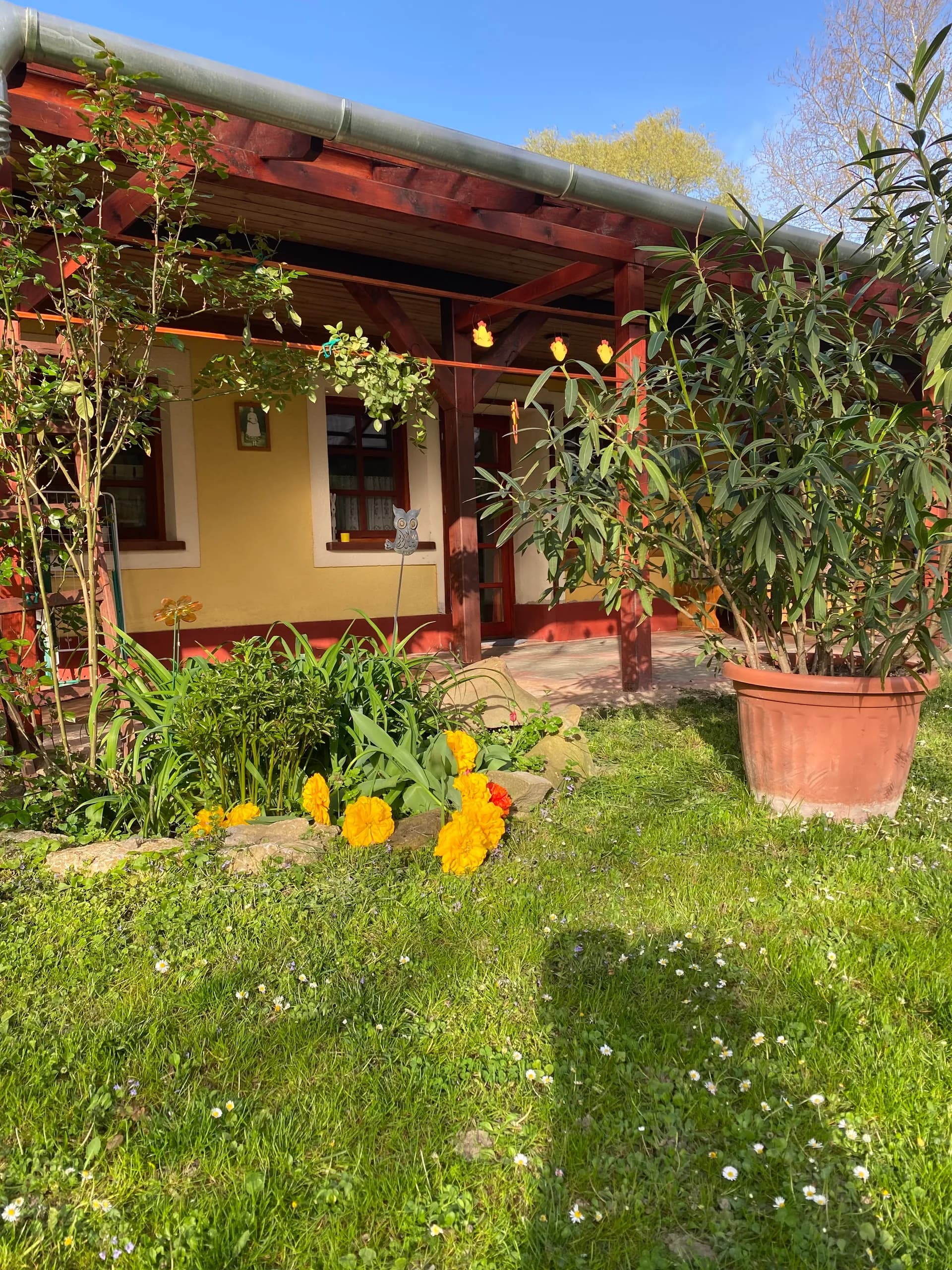 Exterior view of the apartments with garden