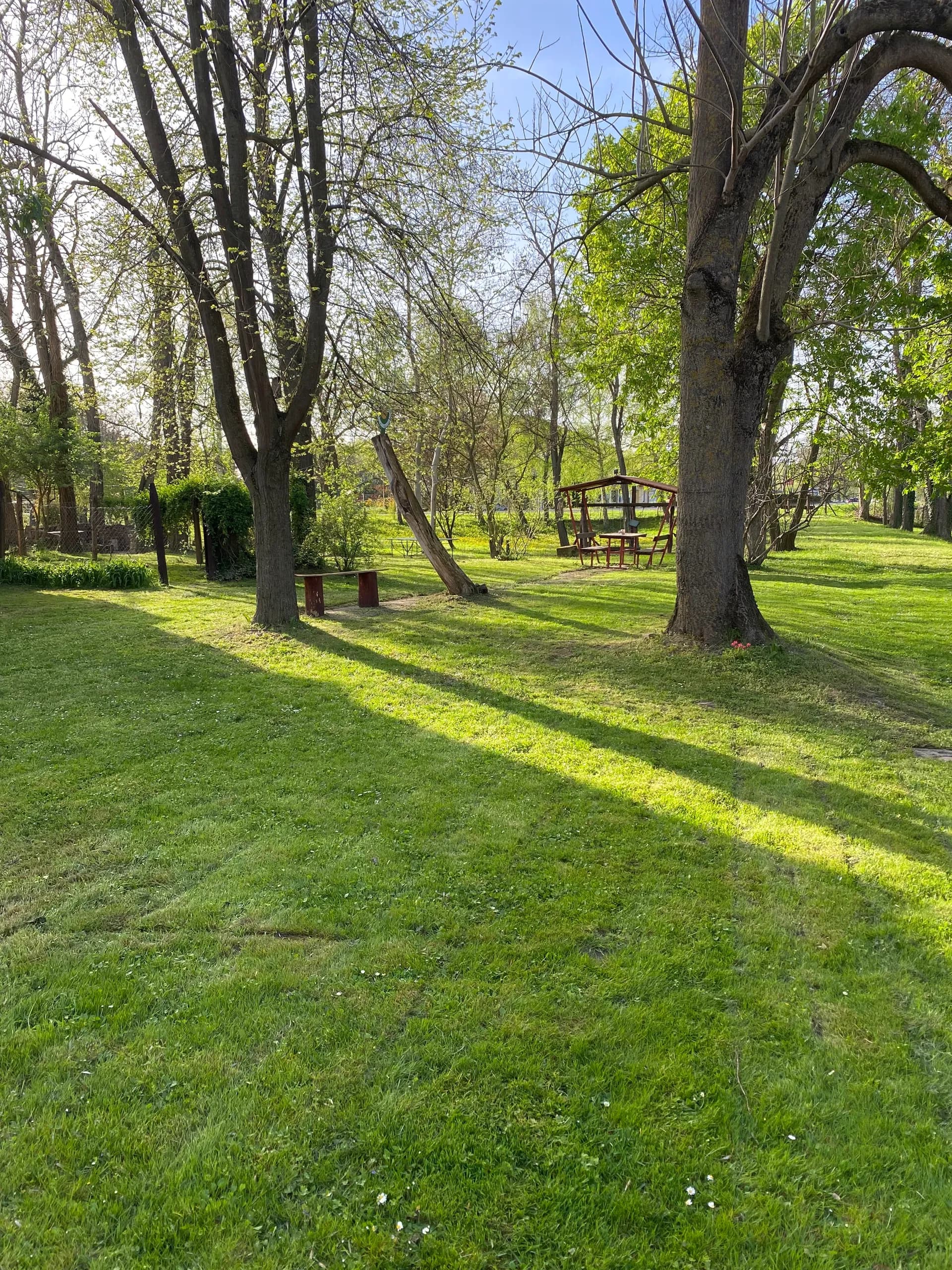 Well-kept garden with seating area